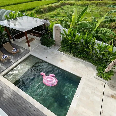 Brand New 2Bedroom Private Villa